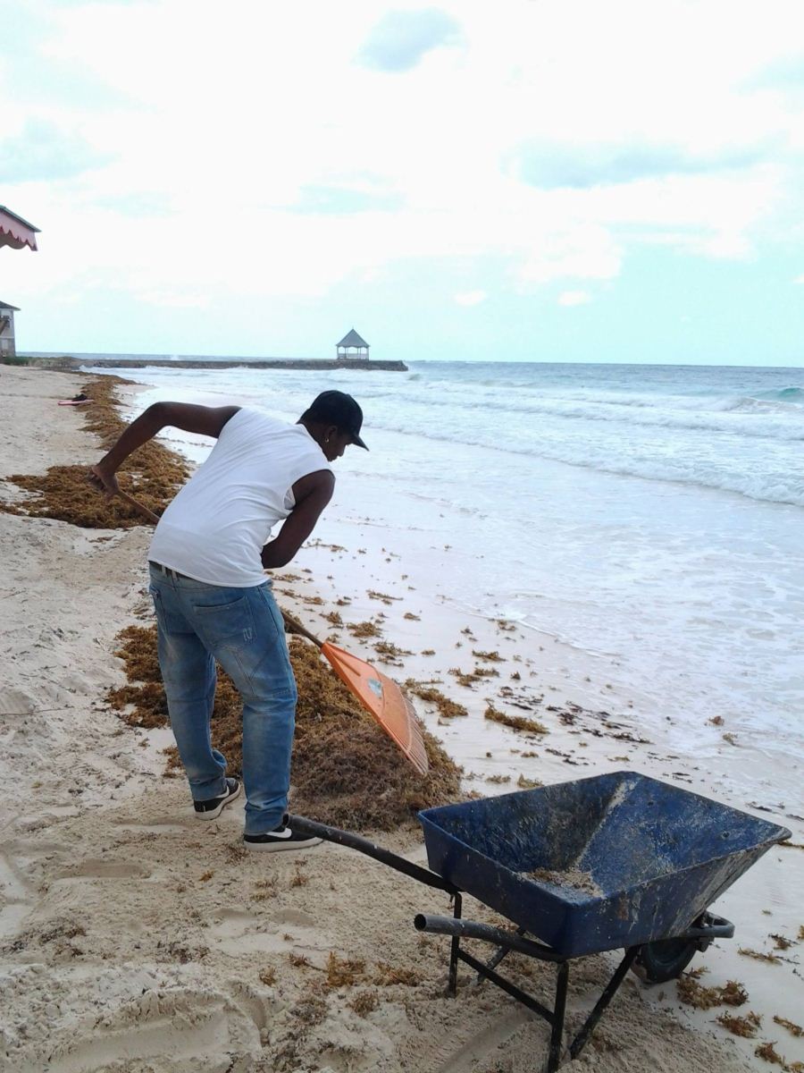 beach cleaner at silver sands jamaica