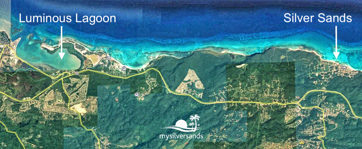 luminous lagoon jamaica map