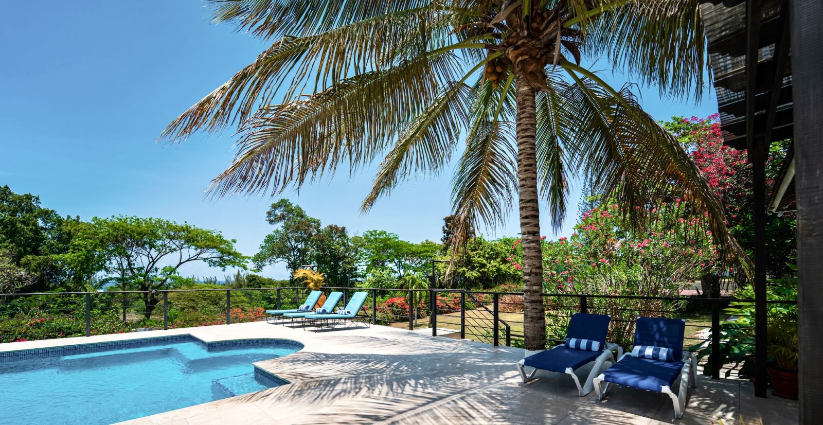 relax in the shade of the coconut tree